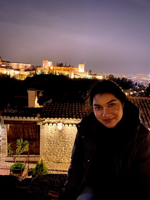 View from San Nicholas, Granada