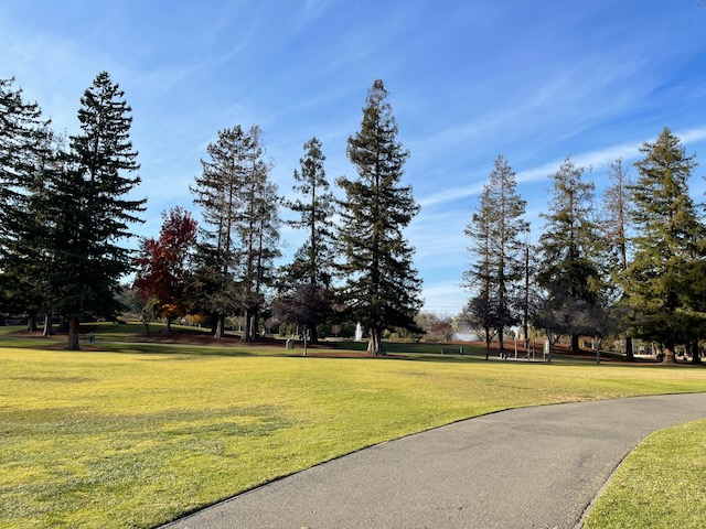 Central Park, Santa Clara