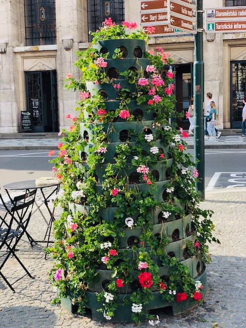 Street Flower Pot, Prague