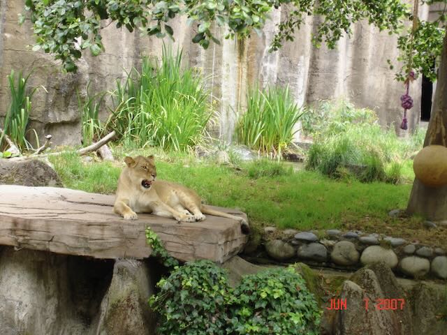 Oakland Zoo, Oakland