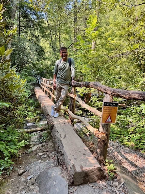 Figure 3: Single log bridges, Abrams Falls Trail