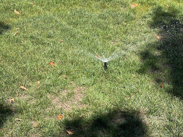 Sprinkler, Front Yard, Livermore